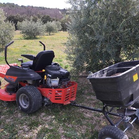 Ferme Oleicole Les Callis Gordes Dış mekan fotoğraf