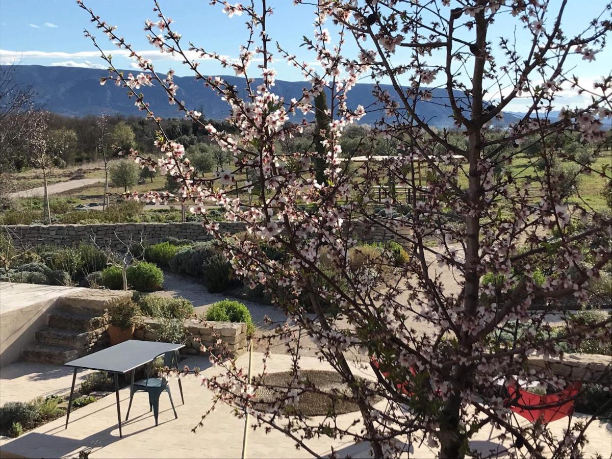 Ferme Oleicole Les Callis Gordes Dış mekan fotoğraf