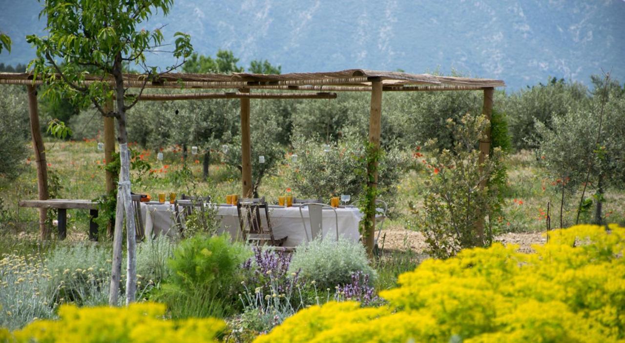 Ferme Oleicole Les Callis Gordes Dış mekan fotoğraf