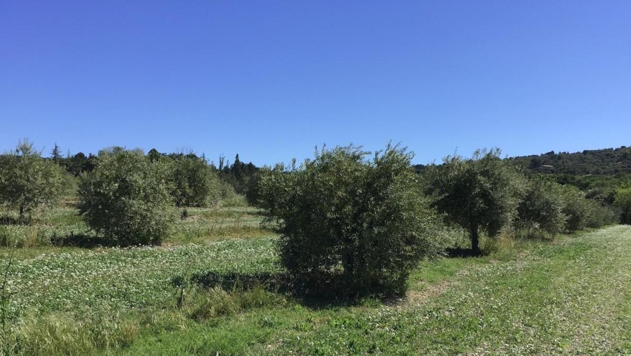 Ferme Oleicole Les Callis Gordes Dış mekan fotoğraf