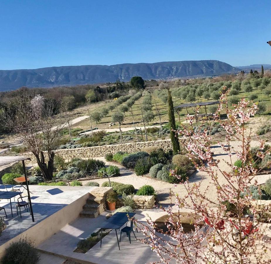 Ferme Oleicole Les Callis Gordes Dış mekan fotoğraf